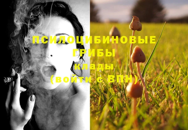 ПСИЛОЦИБИНОВЫЕ ГРИБЫ Аркадак