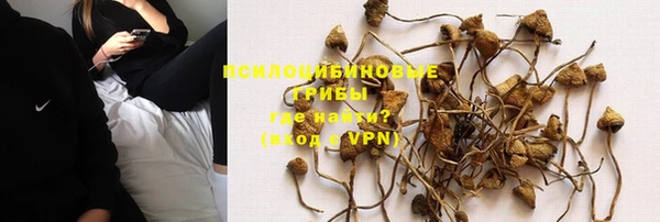 ПСИЛОЦИБИНОВЫЕ ГРИБЫ Аркадак