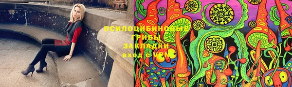 ПСИЛОЦИБИНОВЫЕ ГРИБЫ Аркадак