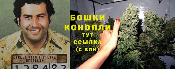 ПСИЛОЦИБИНОВЫЕ ГРИБЫ Аркадак