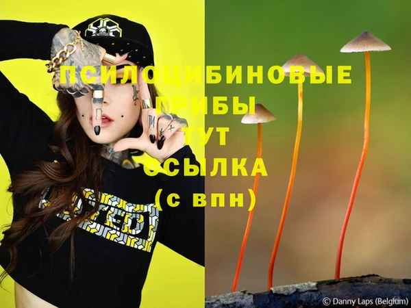 jwh Армянск